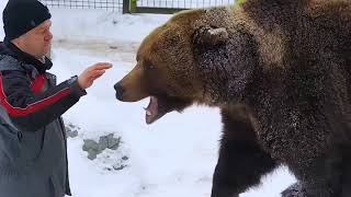 Неожиданная встреча на неделе. Медведь Мансур 👮🐻💞