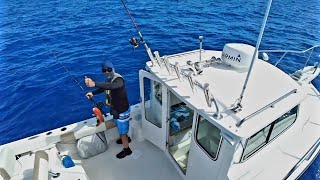 Solo Bahamas Fishing Navigating from Miami to Bimini in a Small Crooked PilotHouse Boat