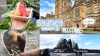 moving to Australia, orientation, first week here | nyu study abroad diaries 1