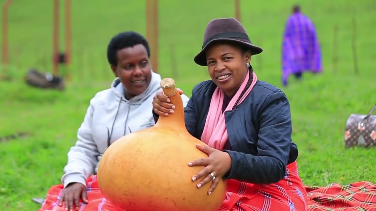 People from Mastercard Foundation enjoyed the Beauty and culture of Bigogwe ❤️ 🇷🇼. 