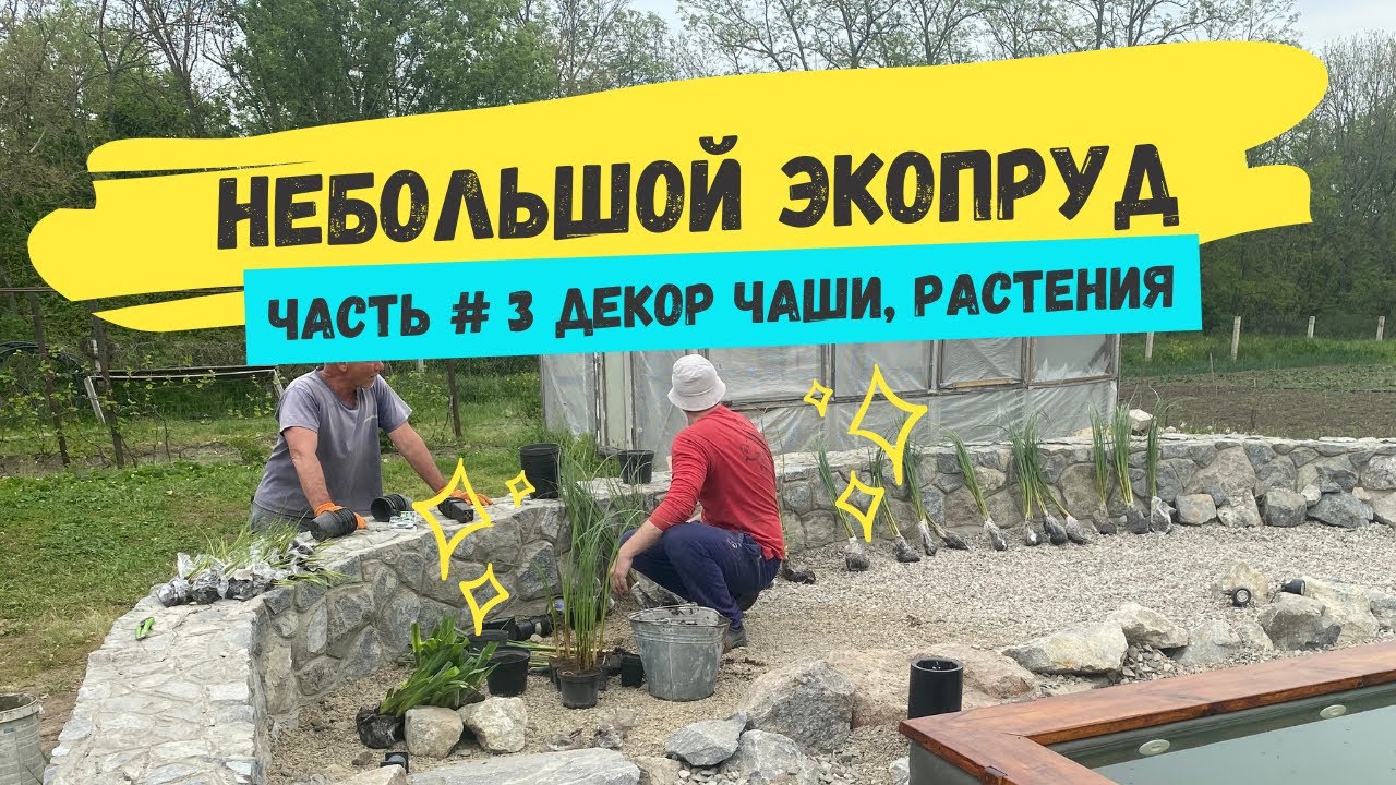 Небольшой экопруд Часть 3 Декор чаши, растения, биоплато