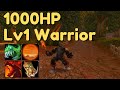 1000 HP Lv1 Warrior - WoW Classic