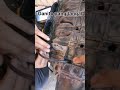 how to remove Sequoia intake manifold bolt