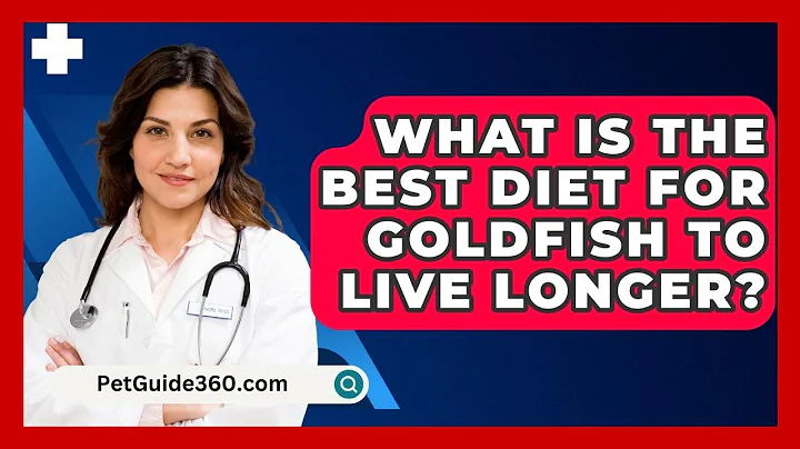 What Is the Best Diet for Goldfish to Live Longer? - PetGuide360.com