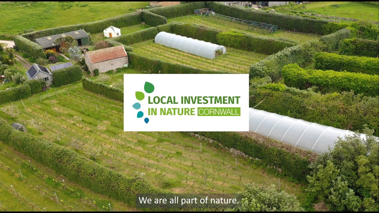 Local Inv Introduction to LINC (Local Investment in Nature) 2mins - YouTube