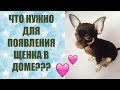 lЧТО НУЖНО ДЛЯ ПОЯВЛЕНИЯ ЩЕНКА В ДОМЕ?l