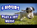 5 hours of play  joy for dogs  upbeat music for dogs to play have fun and max joy