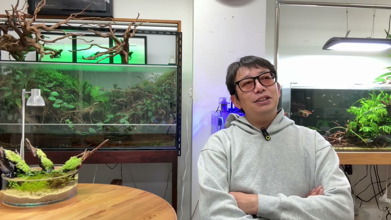 I'll tell you about the most fascinating and fun tropical fish I