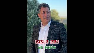 💧NE DERİM AKTAŞLI HALİL💧SALLAMA (2023)söz müzik Erdal satılmış💧 Resimi