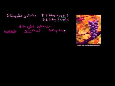 მიწოდების კანონი   Law of Supply