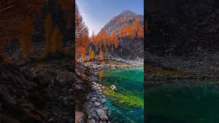 Autumn Paradise in the Mountains 🍂🏔️Nature’s Beauty.🌲✨Golden Forest Escape.# sugar & brownies song.