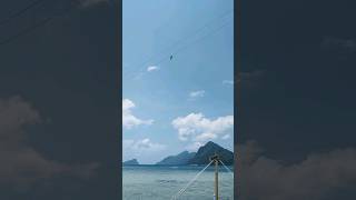 Download Lagu Most amazing zipline ever🤩#elnido #palawan #philippines #travelphilippines #vanillabeach MP3