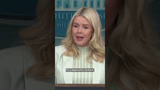 White House slams arresting ICE agents comments