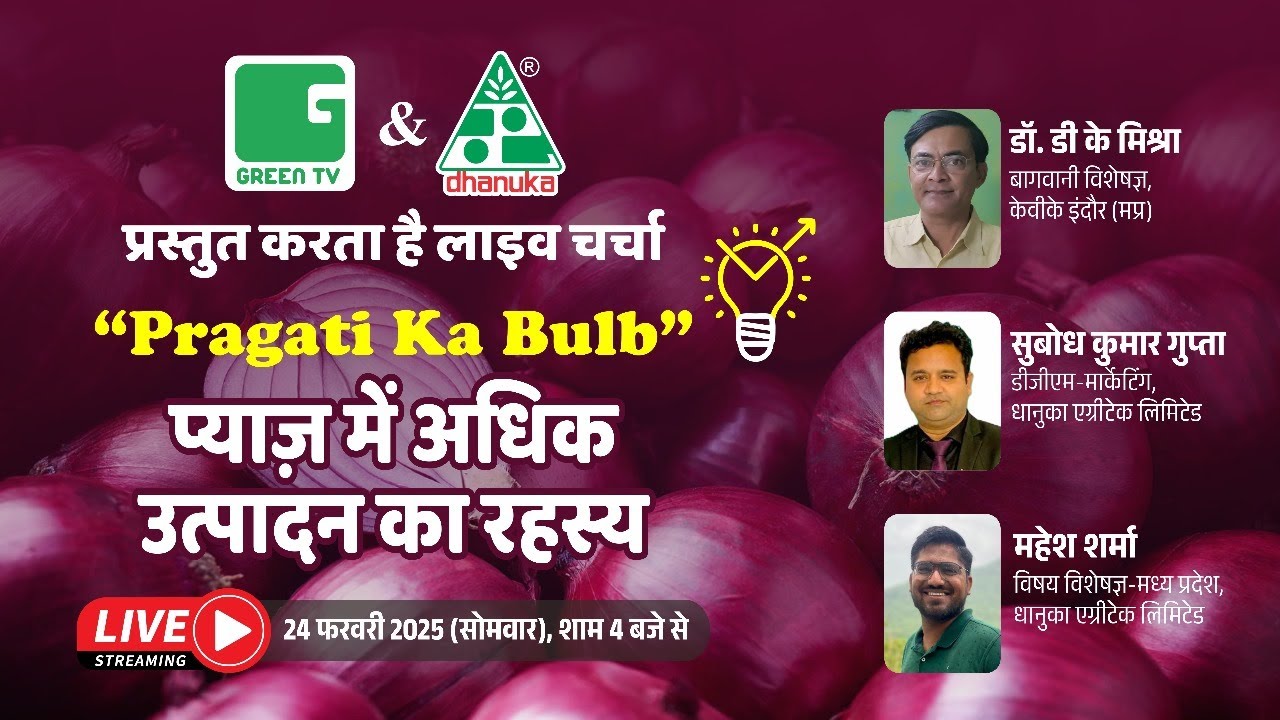 Pragati Ka Bulb 'प्याज़ में अधिक उत्पादन का रहस्य'