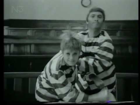 Gitte & Rex - Zwei auf einer Bank