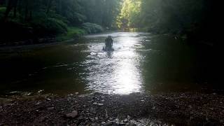 Deestone Swampwitch Tires In Mud And Water Short Clip