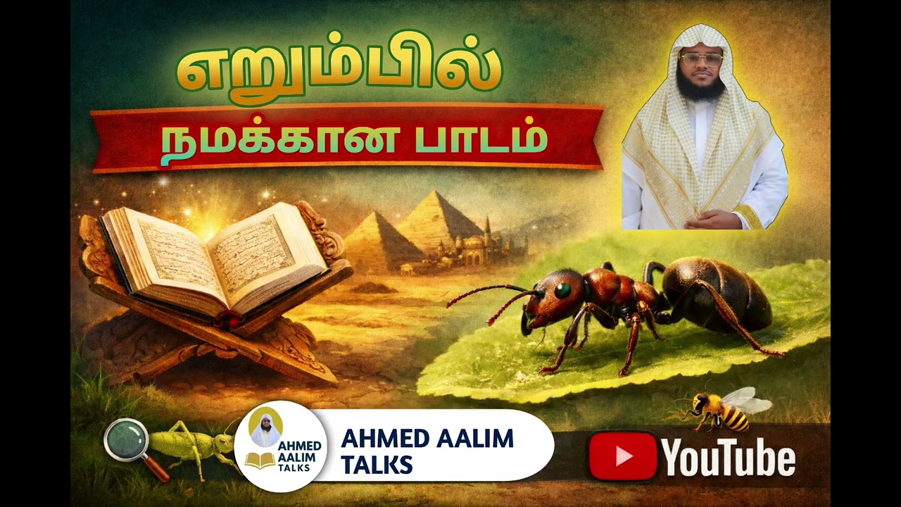 எறும்பில் நமக்கான பாடம் #tamilbayan #tamil #viralbayan #viralvideo #ahmedaalimtalks 