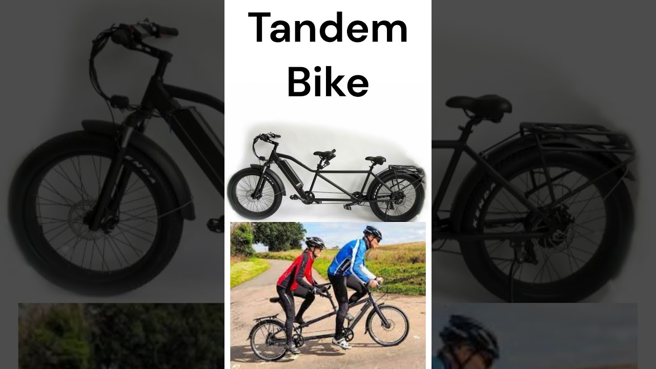 Type of Cycle in English | English Learning | 