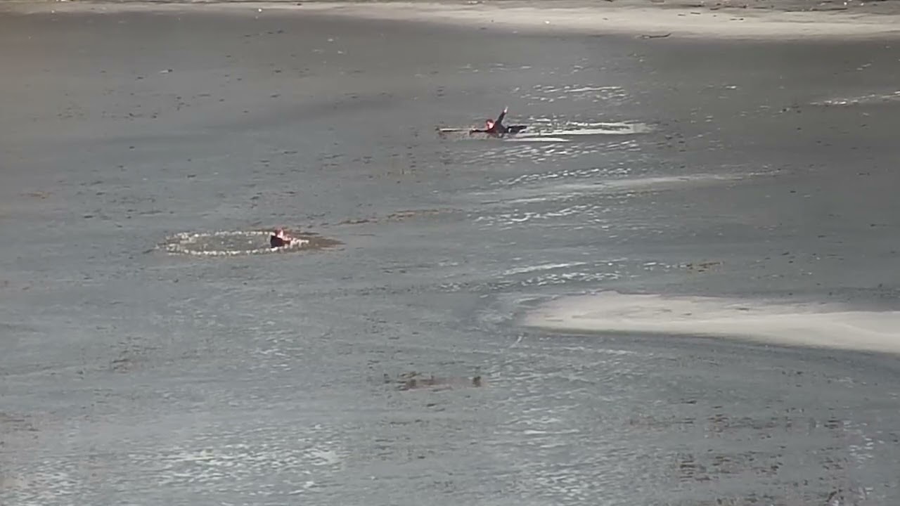 В Днепре на Победе рыбак провалился под лед, его пытались спасти патрульные: видео момента