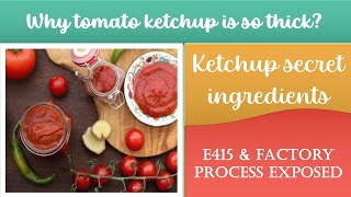 Why tomato ketchup is so thick || Ketchup secret ingredients | E415 & factory process exposed