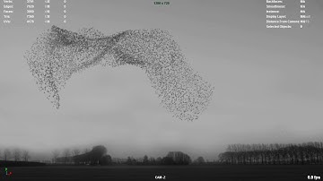 3D Birds flocking