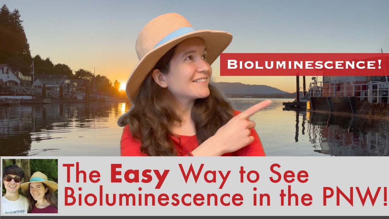 The Easy Way to See Bioluminescence in the Pacific Northwest