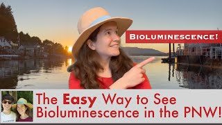 The Easy Way to See Bioluminescence in the Pacific Northwest