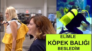 KÖPEK BALIĞI SEVDİM 😱VE TAKİPÇİLERİM KOMBİNİMİ YAPTI  | Sebile Ölmez