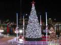 Christmas In Jacksonville Florida