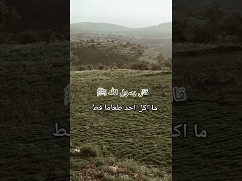 قال رسول الله صلى الله عليه وسلم ما اكل احد طعام قط