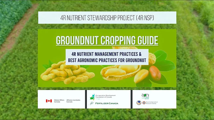 A comprehensive GROUNDNUT CROPPING GUIDE: The 4Rs of Fertilizer Use Management