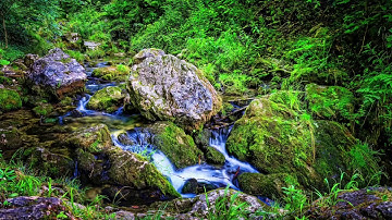 سورة الانسان للقارئ عبدالله العليان 10-05 -1442