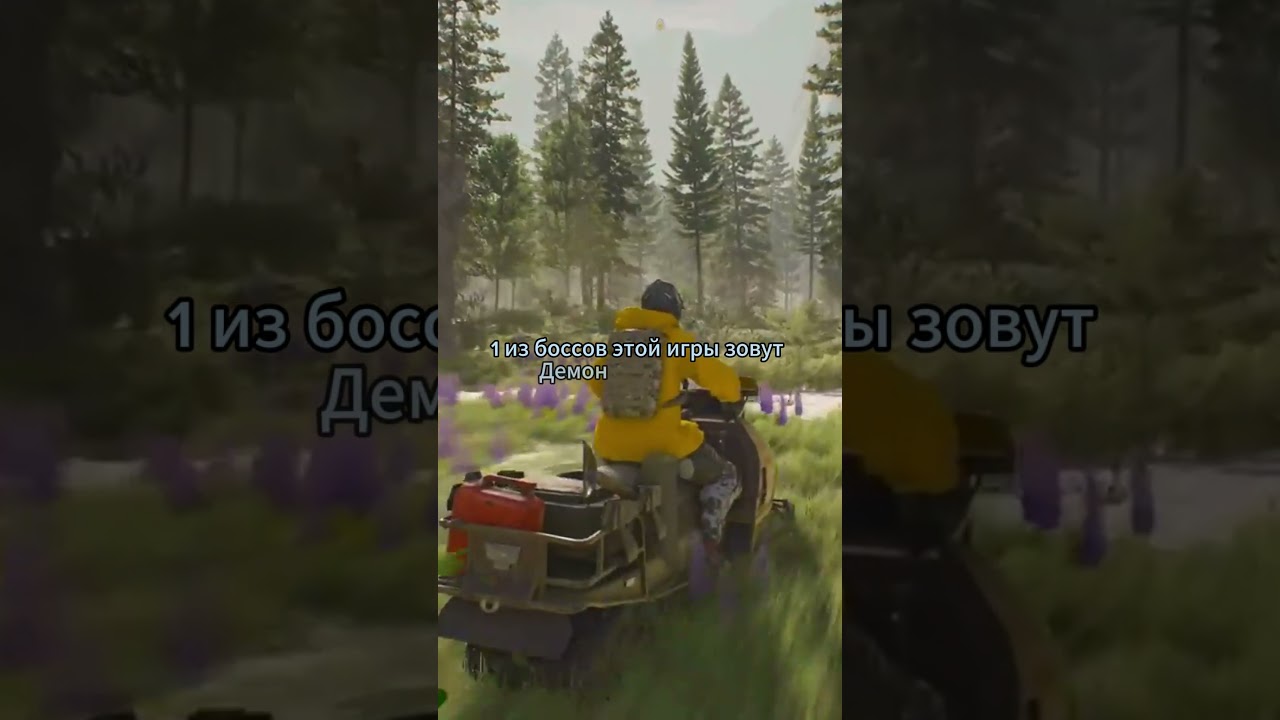 WTG в shorts выпуск 8 