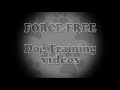 Force-free dog training videos - coming soon Force-free dog training videos - coming soon