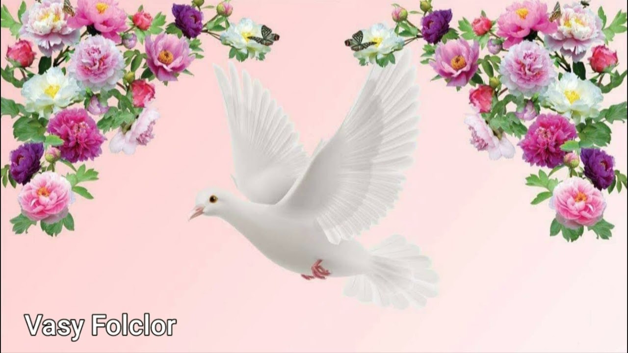 Am pierdut în viață multe Negativ cover