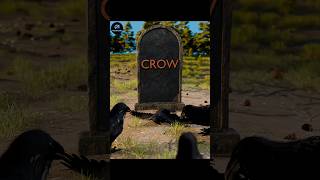 Why Crows Gather Around Their Dead 🤔#crow death
