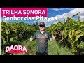 TRILHA SONORA DO SENHOR DAS PITAYAS @zedocafeoficialzedocafe8719@agostinharamos8841  