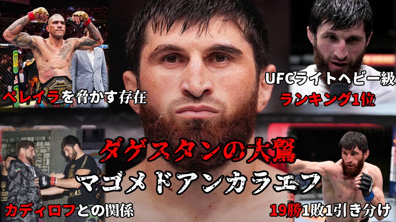 【ダゲスタンの大鷲】マゴメド・アンカラエフ 19勝1敗 カディロフ率いるアフマトMMA アレックスペレイラを脅かす YouTube
