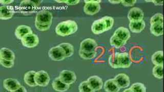 Algae Control System