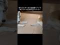 近過ぎ #shorts