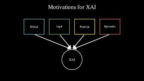 Explainable AI (XAI)
