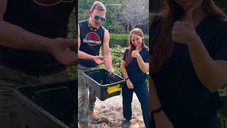 Injured Turtle Recuse by Man 🥹