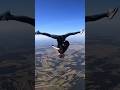 That is insane 🤯🔥#electronicmusic #newmusic #skydiving #extremesports #shorts 📹:skydiving_junkie