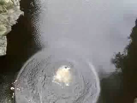 bridge of alvah jump