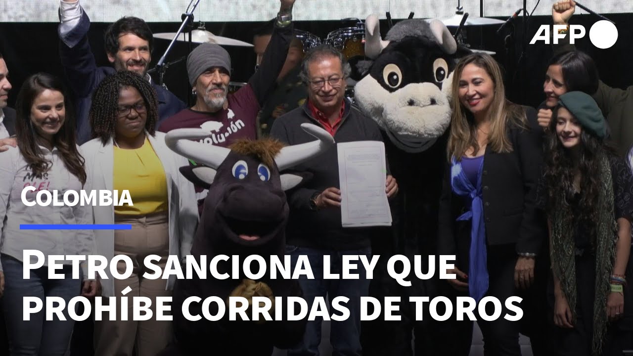 Petro sanciona ley que prohíbe las corridas de toros en Colombia | AFP ...