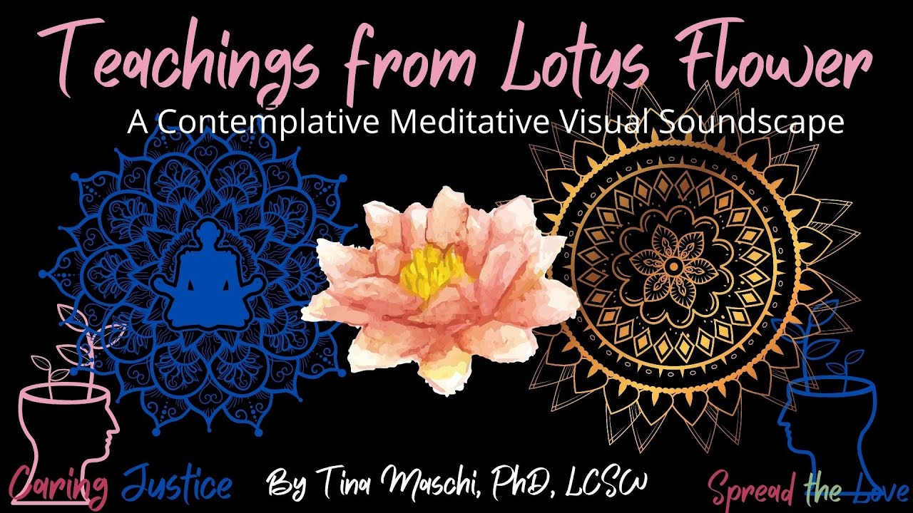 Teachings from Lotus Flower: A Contemplative Meditative Visual Soundscape  (for any age/time of day)