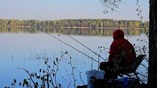 Рыбалка с Ночевкой на Чигиринском Водохранилище. Ловлю на Чесночные Пуфики. Лещ на Фидер.