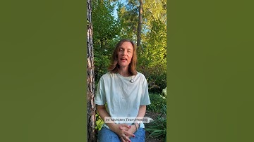 High-Perfomance Teams & Trust