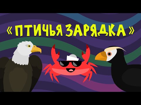 Капитан Краб - Птицы