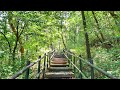 [4K] Slow walk on Bukhansan Mountain in Seoul Relaxing Sounds 서울 북한산 둘레길 구기동 코스의 느린 힐링 산책 새소리 계곡물 소리